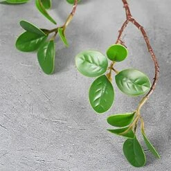 SzJias Faux Stems Artificial Branches For Vase Faux Branches Greenery Plant Stems For Vase Fake Tree Branches (3 Branches, 43.3 Inch/Branches) -Organic Plant Shop 518pPQ1ygtL