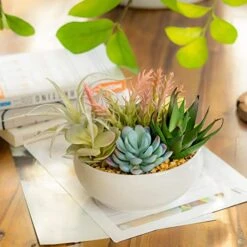 10 In 1- Fake Plants In Pot -Artificial Succulents Plant For Desk Decor -Small Faux Plants Indoor Modern Farmhouse Plants Artificial Decor -Potted Small Plants Decor For Bedroom Bathroom Office Shelf -Organic Plant Shop 51AGnoE1oLL
