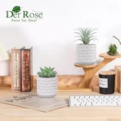 Der Rose 2 Packs Fake Plants Artificial Succulents Plants In Pots For Home Boho Decor Indoor -Organic Plant Shop 51AUVSVg6qL