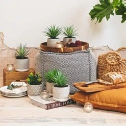 Kurrajong Farmhouse Faux Plant In Pot - 8" X 4.5" | Beautiful Faux Succulent Plant Decor | Artificial Succulent Plants | Faux Plants Indoors 9 Kurrajong Farmhouse Faux Plant In Pot - 8" X 4.5" | Beautiful Faux Succulent Plant Decor | Artificial Succulent Plants | Faux Plants Indoors -Organic Plant Shop 51B19Gz79aL