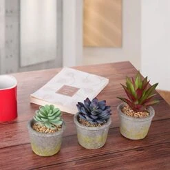 Meneco Faux Succulents Artificial Plants – 16 Pack Lifelike Fake Succulent Plants Unpotted -Organic Plant Shop 51BjmposD6L
