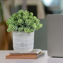 Set Of 3 Assorted Small Potted Succulent Plants Fake Aloe String Of Pearls Hops Succulents In Gray Geometric Concrete Ceramic Pots For Gifts Modern Home Office Desk Table Indoor Outdoor Greenery Decor -Organic Plant Shop 51Bk7yg2DuL