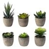 Sophia's Garden Small Artificial Succulents Plants Artificial Potted Fake Plant Decor Bedroom (6 Piece Faux Succulents In Pots 2.3") Fake Succulent Decor Fake Succulents Mini Succulents Desk Office