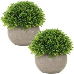 Briful Small Fake Plants Faux Potted Plant Mini Artificial Plants For For Home Table Office Room Desk Bathroom Shelf Kitchen Farmhouse Mantel Decoration -Organic Plant Shop 51DcHs0SngL. AC