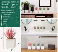 Sunprairie Classic Set Of 4 Faux Succulents 7” Tall In Ivory White Stucco Ceramic Pots-Realistic Multi Colored Artificial Succulents Plants For Home & Office Decor. -Organic Plant Shop 51Dl4TmSeWL