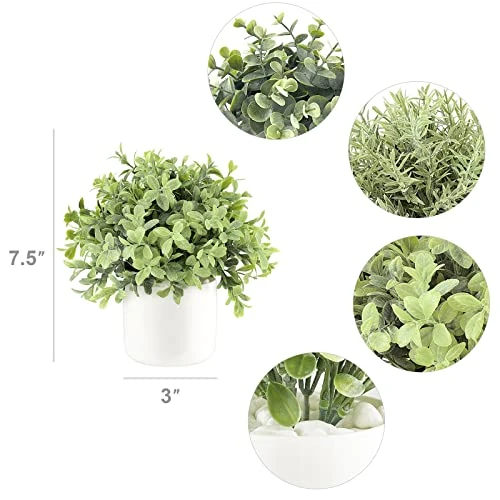 Mkono Fake Plants In Ceramic Pot, 3 Pack Potted Artificial Eucalyptus Plants For Home Decor Indoor Faux Green Rosemary For Desk Shelf Coffee Centerpiece Bathroom Office Decor 3 Mkono Fake Plants In Ceramic Pot, 3 Pack Potted Artificial Eucalyptus Plants For Home Decor Indoor Faux Green Rosemary For Desk Shelf Coffee Centerpiece Bathroom Office Decor - Image 3