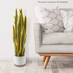 Artificial Sansevieria Snake Plant – 29.5-Inch Potted Fake Upward Foliage For Home Or Office Decoration – Pointed Polyester Leaves By Pure Garden 13 Artificial Sansevieria Snake Plant – 29.5-Inch Potted Fake Upward Foliage For Home Or Office Decoration – Pointed Polyester Leaves By Pure Garden -Organic Plant Shop 51EpfnvDz8S