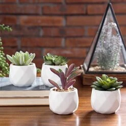MyGift Miniature Artificial Succulents, Indoor Fake House Plants In Round White Geometric Ceramic Pots, Set Of 4 -Organic Plant Shop 51FCuM0QIoL