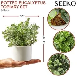 Seeko Fake Plants For Home Décor, Shelf, Office, Bathroom, Laundry Room - Artificial Plants For Home Décor Indoor, Faux Plants - Ceramic Potted Farmhouse Decor -Organic Plant Shop 51FEM8b3o2L