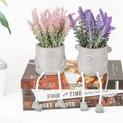 Natheeph 2 Pcs Succulents Plants Artificial Fake Plant Faux Succulents Hanging Leg With Cement Potted For Home Office Desk Bedroom Bookshelf Greenery Decoration (Smile & Bear) -Organic Plant Shop 51FFo6pTxXL. AC