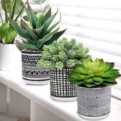 Winlyn Set Of 3 Assorted Small Potted Succulents Arrangement Artificial Succulent Plants In Black And White Geometric Pots For Table Centerpiece Windowsill Shelf Indoor Outdoor Garden Greenery Decor 7 Winlyn Set Of 3 Assorted Small Potted Succulents Arrangement Artificial Succulent Plants In Black And White Geometric Pots For Table Centerpiece Windowsill Shelf Indoor Outdoor Garden Greenery Decor -Organic Plant Shop 51G4beLwOXL