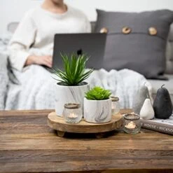 Kurrajong Farmhouse - Marble Pattern Pot With Faux Succulent Plant - 8" High - Artificial Plant - Potted Plant - Succulent Plants Artificial - Fake Succulent - Faux Plant Pot -Organic Plant Shop 51GFYum76FL