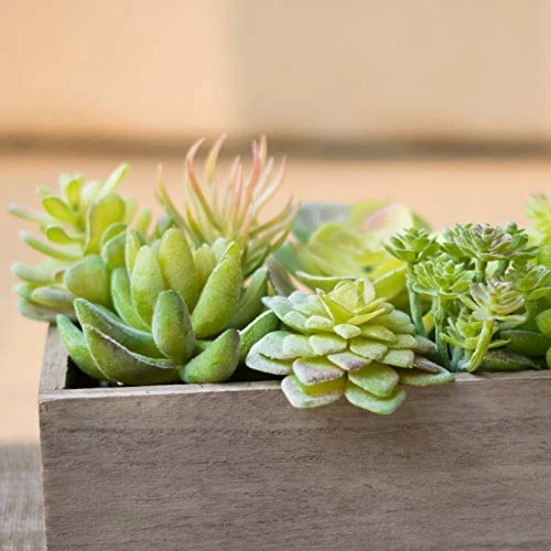 Thatswut - 35 Pack Bulk Large Assorted Realistic Artificial Faux Succulents Aloe Plants Realistic Fake Succulent Plants, Largest Set Of Succulents 5 Thatswut - 35 Pack Bulk Large Assorted Realistic Artificial Faux Succulents Aloe Plants Realistic Fake Succulent Plants, Largest Set Of Succulents - Image 5
