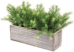 PLANT Artificial Wooden Potted Rosemary Faux Greenery In Wood Planter Box S For Rustic Farmhouse Centerpiece Tabletop Kitchen Shelf Decor -Organic Plant Shop 51HFupgNq S. AC