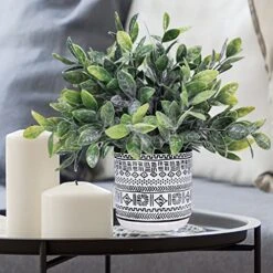 Set Of 3 Assorted Small Potted Plants Fake Eucalyptus Boxwood Plants Aloe Succulent Plant In Black And White Geometric Pots For Table Centerpiece Windowsill Shelf Indoor Outdoor Garden Greenery Decor -Organic Plant Shop 51HhDHj3CsL