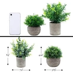 GreenCallow Artificial Plants For Home Decor Indoor. 4 Mini Plants, Rosemary Faux Plant Decor, Eucalyptus Plant, Grass Faux Plants. Small Fake Plants For Shelf Or Desk Plant Artificial Greenery Décor -Organic Plant Shop 51HqTqIgKcL