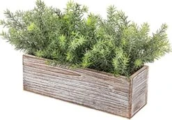PLANT Artificial Wooden Potted Rosemary Faux Greenery In Wood Planter Box S For Rustic Farmhouse Centerpiece Tabletop Kitchen Shelf Decor -Organic Plant Shop 51HyFMCKVYS. AC