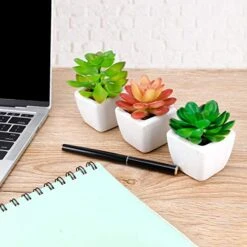 Faux Succulents In Pots Fake Succulents Small Artificial Succulents Potted For Home Office Desk Farmhouse Greenery Decor, 12 Pack -Organic Plant Shop 51ILd6F4LQL