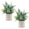 Coferset 2 Pack Small Fake Plants Eucalyptus Potted Artificial Plants For Shelf Desk Home Bathroom Farmhouse Room Decor (Eucalyptus, 2)