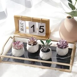 Tiita Artificial Faux Succulents In Pots Fake Plants Ceramic Arrangement Planter Small Mini Tiny Decoration For Home Office Desk Window Sill Bathroom Bedroom Outdoor Indoor 4 Set -Organic Plant Shop 51K9mDyUgtL