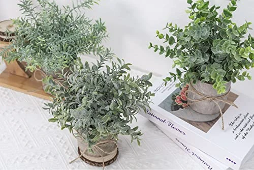 JC Nateva Small Fake Plants Mini Potted Artificial Plants Indoor For Home Office Farmhouse Kitchen Bathroom Table Decor 4 JC Nateva Small Fake Plants Mini Potted Artificial Plants Indoor For Home Office Farmhouse Kitchen Bathroom Table Decor - Image 4