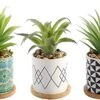 Letinaner Artificial Succulent Plants Fake Pineapple In Pots Artificial Faux Plants Greenery Decorations For Hotel Restaurant Home Office Kitchen Table, Set Of 3