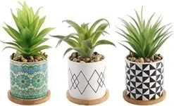 Letinaner Artificial Succulent Plants Fake Pineapple In Pots Artificial Faux Plants Greenery Decorations For Hotel Restaurant Home Office Kitchen Table, Set Of 3 -Organic Plant Shop 51LOmQ0HCxL. AC