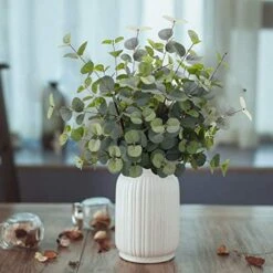 FUNARTY 6 Pcs Artificial Eucalyptus Leaves Stems 25in Tall With 80 Leaves Fake Silver Dollar Eucalyptus Plant Greenery Stems Branches For Farmhouse Vase Bouquets Wedding Home Decor -Organic Plant Shop 51MIRvAOyqL