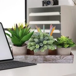 Winlyn Set Of 3 Artificial Potted Succulents Plants In Rustic Wood Tray Succulents Arrangement For Farmhouse Table Centerpiece Desk Windowsill Shelf Counter Home Bathroom Kitchen Office Country Decor -Organic Plant Shop 51MNKvdXbvL