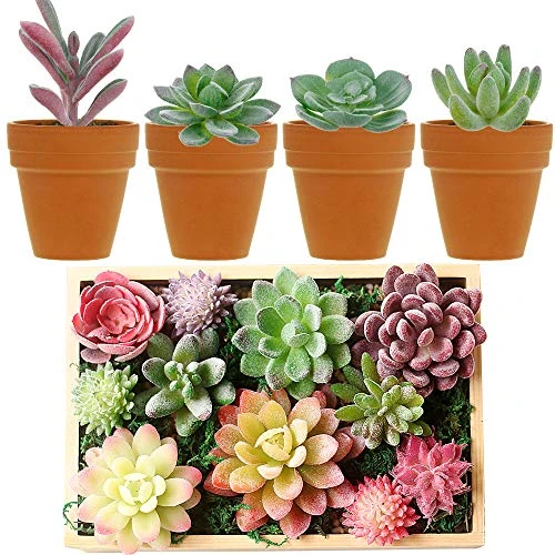 Augshy Artificial Succulents, 16 Pack Fake Succulents Plants Artificial Small Fake Plants Faux Succulents Unpotted For Lotus Landscape Decorative Garden Arrangement Decor 3 Augshy Artificial Succulents, 16 Pack Fake Succulents Plants Artificial Small Fake Plants Faux Succulents Unpotted For Lotus Landscape Decorative Garden Arrangement Decor - Image 3