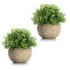 Velener 2Pcs Mini Artificial Boxwood Topiary Faux Plants Indoor- Small Fake Plants Decor Magnolia Home Office Desk Cubicle Farmhouse Kitchen Bookshelf Bedroom Bathroom Decor, Aloe Vera Zen Garden