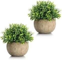 Velener 2Pcs Mini Artificial Boxwood Topiary Faux Plants Indoor- Small Fake Plants Decor Magnolia Home Office Desk Cubicle Farmhouse Kitchen Bookshelf Bedroom Bathroom Decor, Aloe Vera Zen Garden -Organic Plant Shop 51MaEZgPiyL. AC
