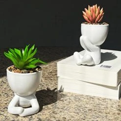 Succulents Plants Artificial For Room Decor, Fake Succulent With Human Shaped Pots, Aesthetic Plants For Desk Decor, Cute Fake Plants For Office Decor, Good Ideas For Gifts, Home Decorations 3PCS -Organic Plant Shop 51Mwulu8SBL