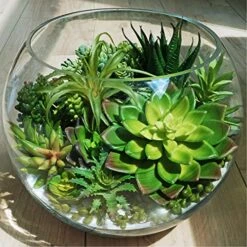 Winlyn 15 Pcs Artificial Succulents Unpotted Bulk Small Faux Succulent Plants Hanging Succulents Hops Aloe For Succulent Garden Wreath Floral Arrangement Indoor Outdoor Green Decor -Organic Plant Shop 51NNh3sreeL