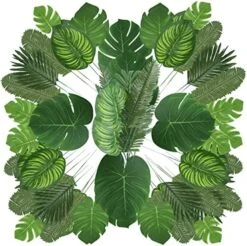 Auihiay 90 PCS 6 Kinds Monstera Leaves Palm Leaves Tropical Party Decorations Jungle Leaf With Stem For Tropical Leaves Decorations Beach Birthday Jungle Party Palm Leaves Decorations -Organic Plant Shop 51OE75FNqNL. AC