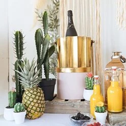 Simple Elements Faux Desert Candle Cactus With Plastic Pot | Artificial Cactus Plant | Home Décor, Event Décor, Outdoor Décor, Party Décor And Wedding Décor | 23" H X 5.5" W (Pot) -Organic Plant Shop 51OMeGxx0kL