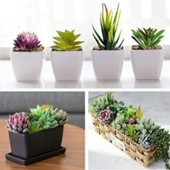 Anoak Artificial Succulent Plants - 16 Pcs Set Faux Succulents Unpotted Fake Succulent Plants, Premium Crafting DIY Floral Decor For Home Garden Office Party (High Realistic) -Organic Plant Shop 51OQV5NUyML