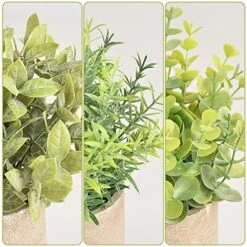 HomEdge Artificial Mini Potted Eucalyptus, 3 Packs Artificial Plastic Plant Greenery With Pot For Home, Office Desk Decoration -Organic Plant Shop 51OjiRfMkqL