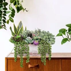 14 Pcs Assorted Artificial Succulents Fake Plants In Rectangular Wooden Pots Artificial Potted Succulents Plants Arrangement For Table Centerpiece Windowsill Shelf Mantel Tropical Greenery Decor -Organic Plant Shop 51OxMJDrnuL