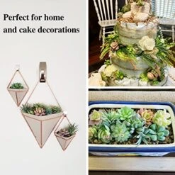 Happyhapi 12 Pcs Artificial Succulents Mini Fake Plants Unpotted Faux Succulent For Craft, Small Plastic Succulents Assortment In Flocked Green Floral Decor For Party, Cake, Garden & Outdoor -Organic Plant Shop 51P365nKhTL