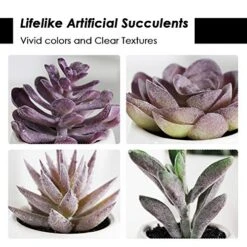 Tiita Artificial Faux Succulents In Pots Fake Plants Ceramic Arrangement Planter Small Mini Tiny Decoration For Home Office Desk Window Sill Bathroom Bedroom Outdoor Indoor 4 Set -Organic Plant Shop 51Pd7Ebr3WL