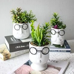 ALIWINER Artificial Succulents Plants With Ceramic Pot Decor Figurines Living Room Decor Home Decoration -Organic Plant Shop 51Q6bPQZjyL