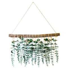 LokoVynes Artificial Eucalyptus Wall Decor - Wall Hanging Eucalyptus Greenery Gives Any Room A Natural, Trendy, Modern Feel - Boho Bedroom Decorations, Bathroom Wall Decor, Kitchen Decorations