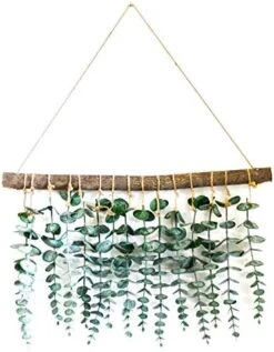 LokoVynes Artificial Eucalyptus Wall Decor - Wall Hanging Eucalyptus Greenery Gives Any Room A Natural, Trendy, Modern Feel - Boho Bedroom Decorations, Bathroom Wall Decor, Kitchen Decorations -Organic Plant Shop 51QjlyL2SdL. AC