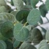Miracliy Faux Eucalyptus Stems Artificial Eucalyptus Leaves Silk Silver Dollar Eucalyptus OliveBranches For Vases For Home Table Decor