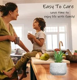 CADNLY Small Artificial Plants In Pots - Fake Plants For Bathroom Office Desk - Faux Succulents Plants Artificial Succulents Decor - Faux Plants Indoor Small Plants Shelf Decor Green Potted Plant -Organic Plant Shop 51REZAu2euL