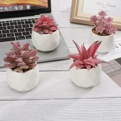 CASTNOO Set Of 4 Succulents Plants Artificial, Mini Fake Succulents For Women Office, Faux Succulents Decor, Artificial Succulents In Ceramic Pots For Desk, Home, Shelf Decorations -Organic Plant Shop 51RaZS9CYLL