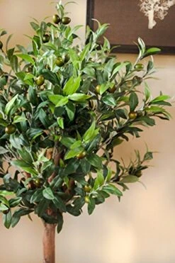 Nearly Natural 5960 4.5' Olive Topiary Tree With European Barrel Planter -Organic Plant Shop 51RnwHnphPL