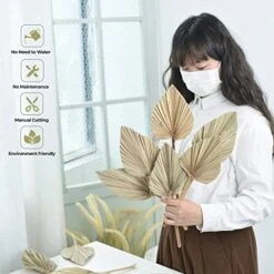 PYSAZI 12 Pcs Natural Dried Palm Leaves Boho Dried Palm Spears Leaves Bulk Small Dried Real Palm Fans Dry Palm Leaves With Stems Dried Leaf Boho Home Décor For Vase Wedding Office Home 43.5*12cm 8 PYSAZI 12 Pcs Natural Dried Palm Leaves Boho Dried Palm Spears Leaves Bulk Small Dried Real Palm Fans Dry Palm Leaves With Stems Dried Leaf Boho Home Décor For Vase Wedding Office Home 43.5*12cm -Organic Plant Shop 51SoJo1kwpL