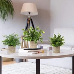 Briful Artificial Potted Plants Set Of 3 Small Faux Plant Eucalyptus Mini Fake Plant Decor For Home Table Office Room Desk Bathroom Shelf Kitchen Rustic Farmhouse Mantel Decoration -Organic Plant Shop 51TUixT1WGS